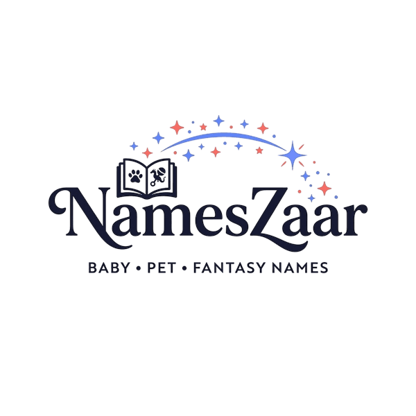 NamesZaar Logo